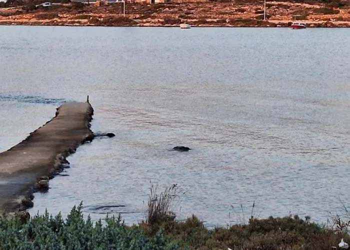 Appartement Mike'splace