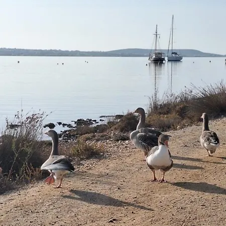 Mike'splace Antiparos Town