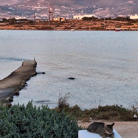 Apartamento Mike'splace