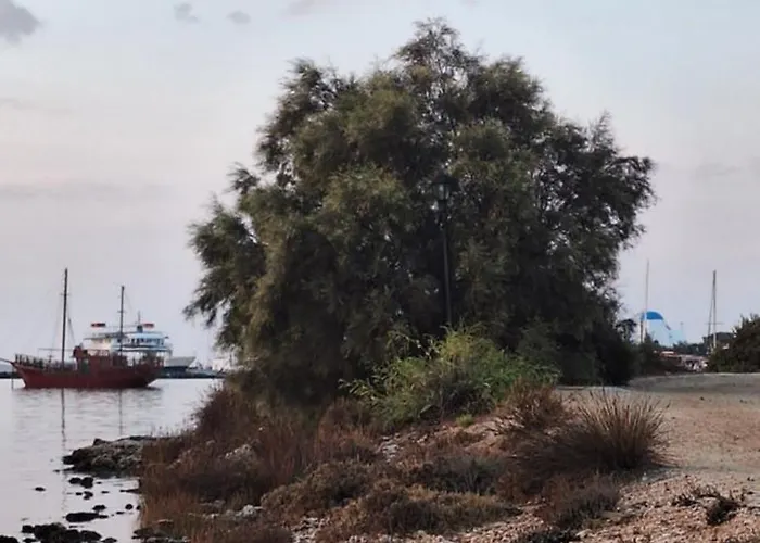 アパート Mike'splace Antiparos Town