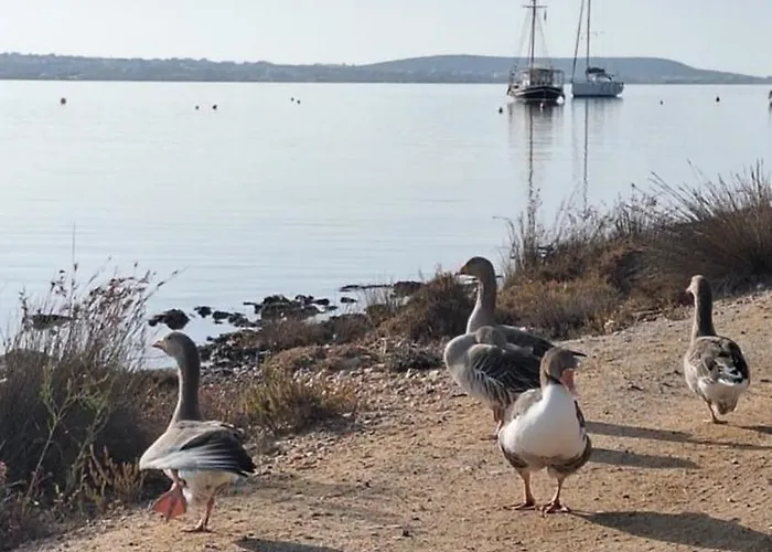 Mike'splace Antiparos Town